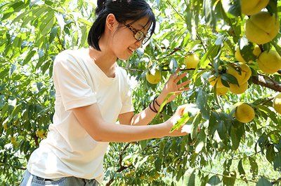 【团队出游咨询】鼓鸣岩玻璃天桥、踏青春游、水果采摘一日游